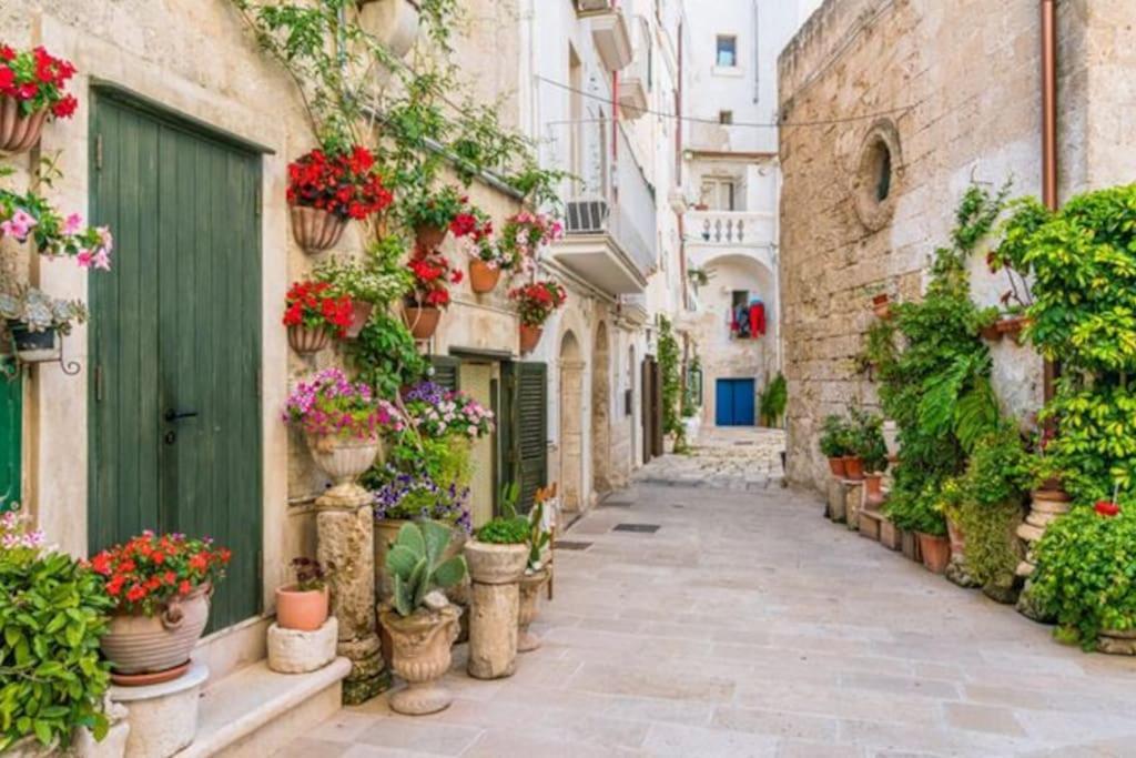 Il Mare In Citta. Appartamento Vista Mare Monopoli Exterior photo